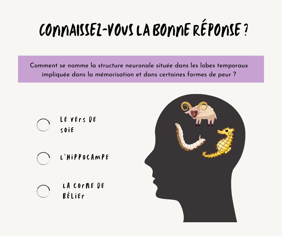 Les émotions(4)