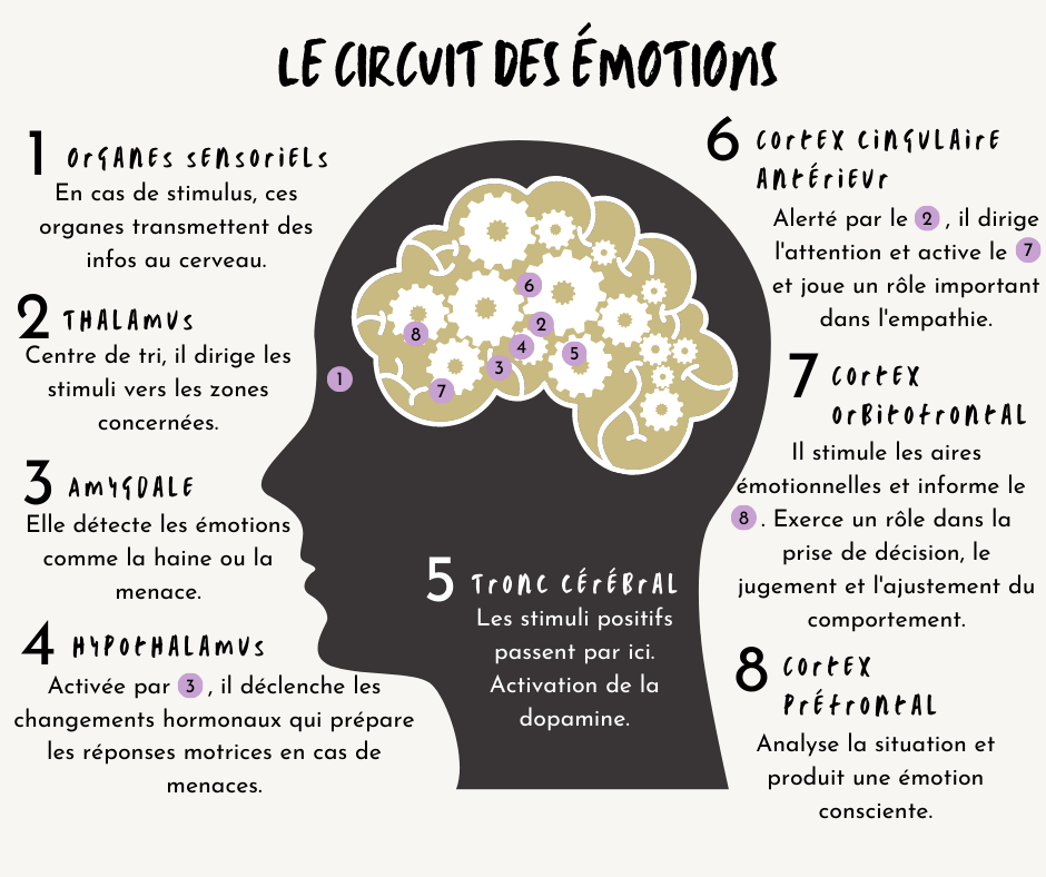 Les émotions(5)
